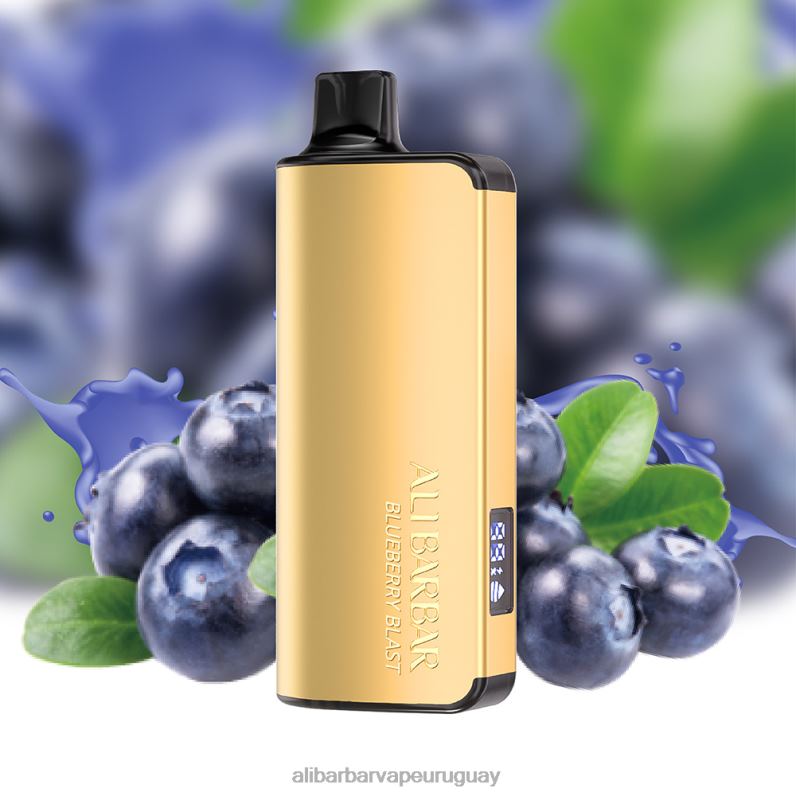 Alibarbar Ingot 9000 vaporizadores desechables explosión de arándanos 860N815 - Alibarbar Vape Uruguay