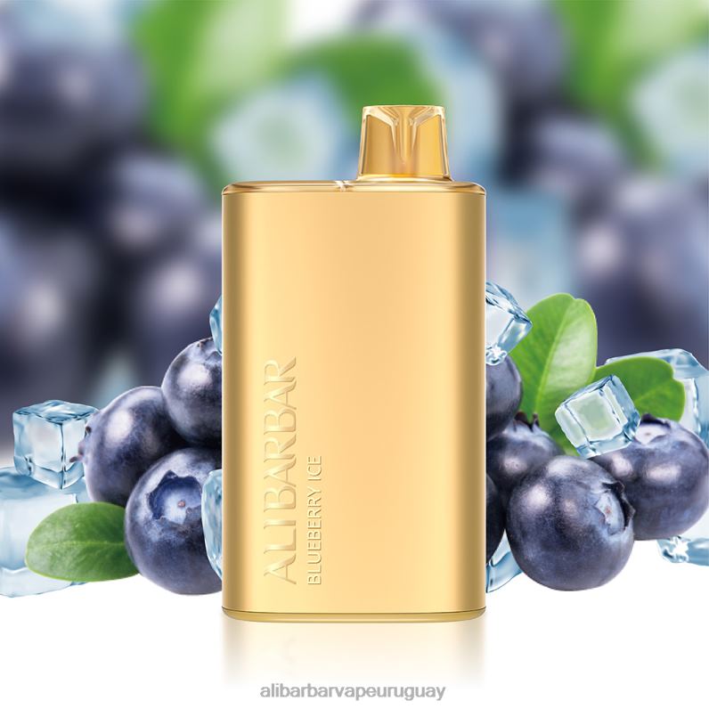 Alibarbar Rich 8000 vaporizadores desechables brisa de menta 860N88 - Alibarbar Vape Review